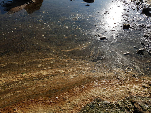 istock Polluted body of water. Water pollution concept image 1281700250