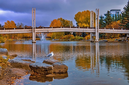 A view of moody clouds over a tranquil autumn park in Calgary.