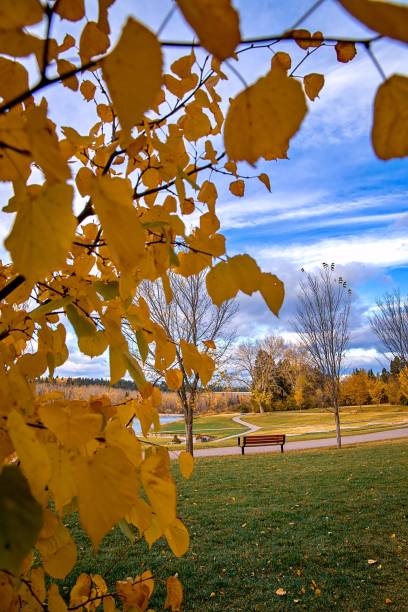 istock Pathway Through A Colorful Autumn Park 1281703812