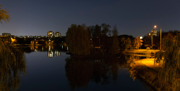 Night city park with water reflection