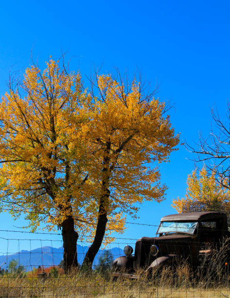 istock Old Ranch Pick-Up Truck 1281704250