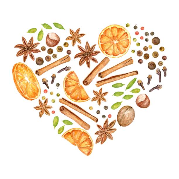 Watercolor illustration of mulled wine ingredients: oranges, anise stars, pepper, cloves, nuts and cinnamon sticks. Element for autumn and christmas design. Vector Watercolor illustration of mulled wine ingredients: oranges, anise stars, pepper, cloves, nuts and cinnamon sticks. Element for autumn and christmas design. Vector cinnamon stick spice food stock illustrations