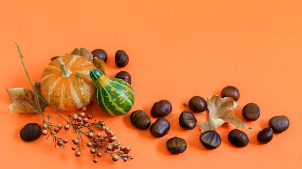 calabazas y castañas en el papel naranja, bonito fondo de halloween con espacio para texto. - chestnut sweet food yellow group of objects fotografías e imágenes de stock