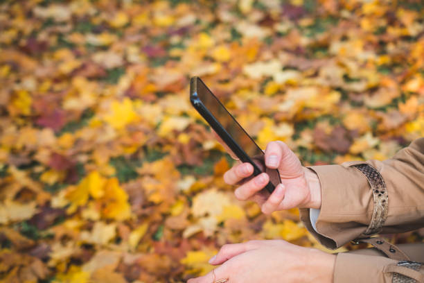 istock Woman Hands close up Use Cell Phone 1281706503