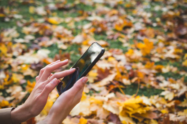 istock Woman Hands close up Use Cell Phone 1281706514
