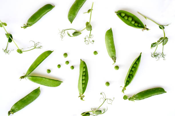 Flat lay natural light green snap peas isolated on white pattern Flat lay natural light green snap peas isolated on white background pattern green pea stock pictures, royalty-free photos & images