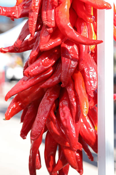 istock A bunch of dried, red, hot peppers. 1281707355