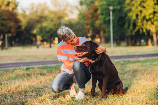 istock Woman gently cuddling her beautiful Labrador 1281708226