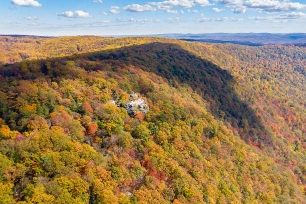 istock Coopers Rock state park overlook over the Cheat River in West Virginia with fall colors 1281708643