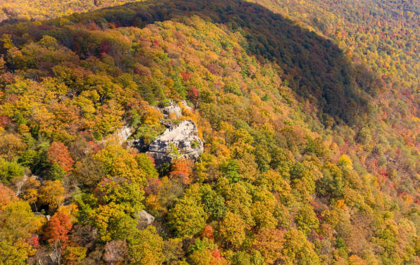 istock Coopers Rock state park overlook over the Cheat River in West Virginia with fall colors 1281708740