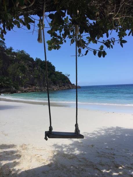 istock Sunny day in a Desert Beach in Seychelles 1281710635