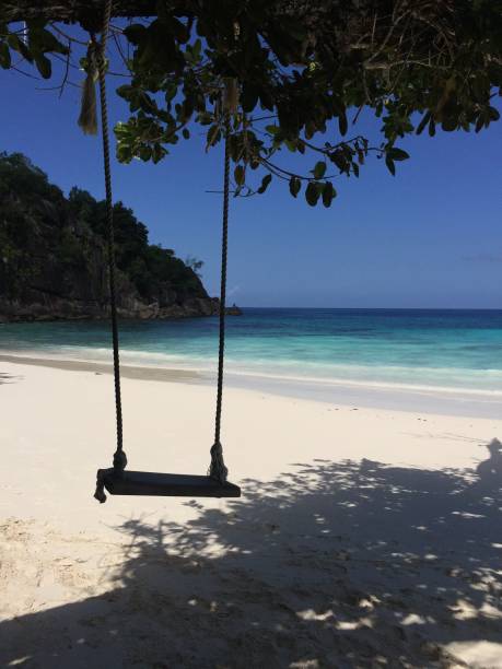 istock Sunny day in a Desert Beach in Seychelles 1281710664