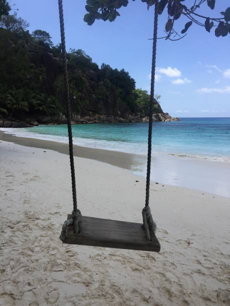 istock Sunny day in a Desert Beach in Seychelles 1281710679