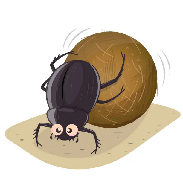 Vector illustration of funny cartoon illustration of a dung beetle