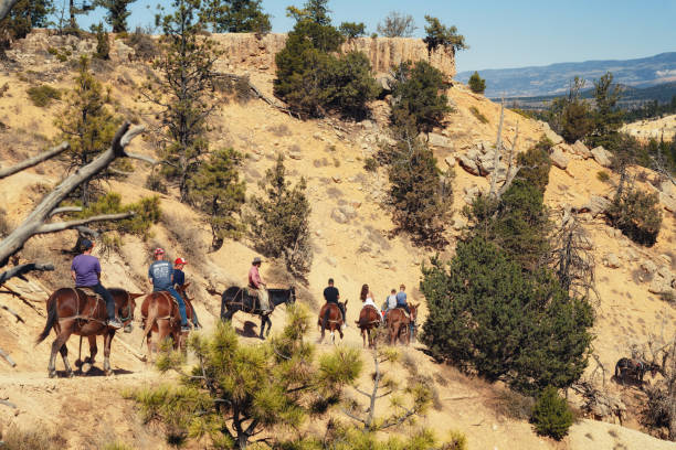 przejażdżka konna w parku narodowym bryce canyon. turyści odkrywają wyjątkowo piękny krajobraz. - autumn journey travel destinations cowboy zdjęcia i obrazy z banku zdjęć