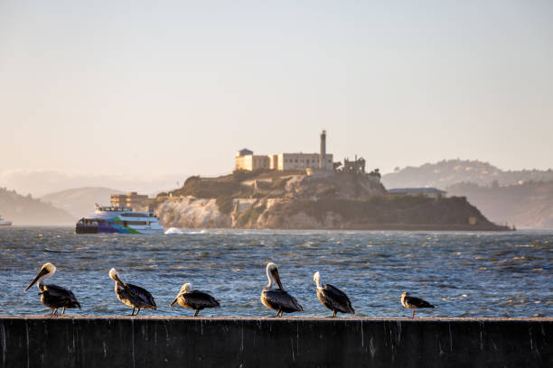 istock USA San Francisco pier 1281719050