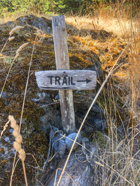istock Handmade sign for hiking trail 1281719208