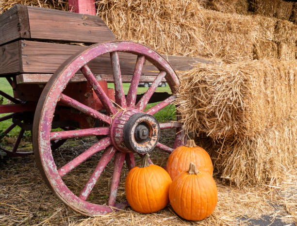 zucche al volante di un carro di legno pieno di fieno al mercato degli agricoltori. - wagon wheel foto e immagini stock