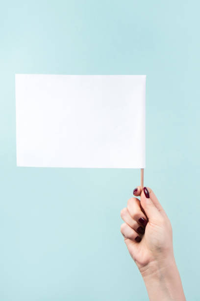 istock Elections and voting concept. Woman holding white flag on blue background. 1281723742