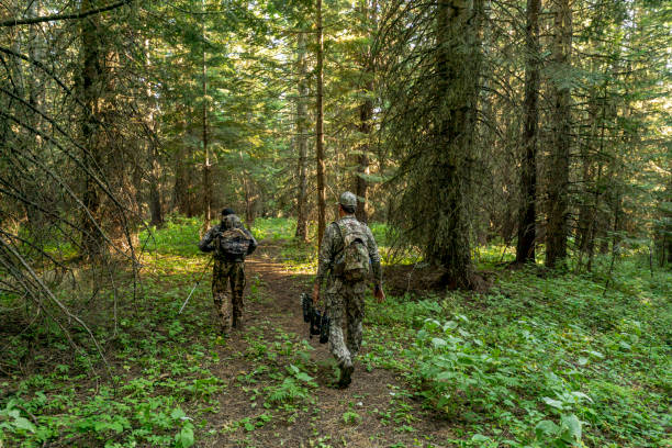 istock Two men hike through a forest while hunting elk with a crossbow 1281725695