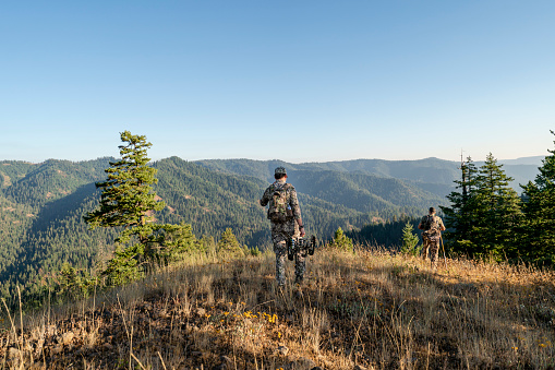 Two crossbow hunters walk with their backs to the camera along a grassy ridge overlooking a forested mountain range while tracking elk wild game in Washington state. The man closest to the camera is carrying a crossbow.