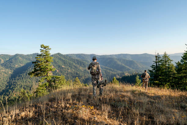 Man hunting wild game with crossbow hiking in mountains Two crossbow hunters walk with their backs to the camera along a grassy ridge overlooking a forested mountain range while tracking elk wild game in Washington state. The man closest to the camera is carrying a crossbow. hunting stock pictures, royalty-free photos & images
