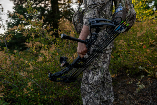 Close up shot of a hunter carrying a crossbow Close up shot of a hunter dressed in camouflage clothing holding a crossbow at his side while hunting elk in a forest at sunset. bow and arrow photos stock pictures, royalty-free photos & images