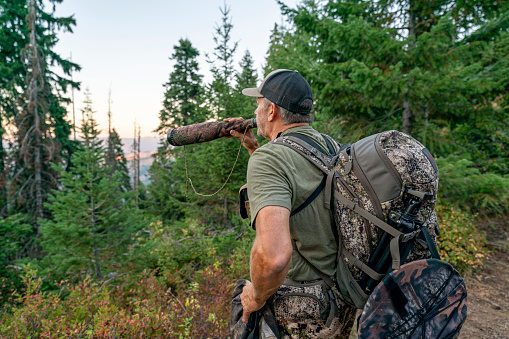 Middle aged hunter wearing camouflage clothing and backpack uses a bull elk grunt horn to call elk. It is sunset and the bowhunter is in a forest located in Washington state.