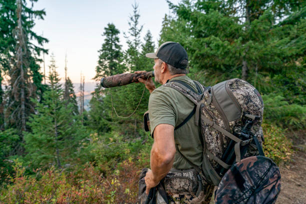 myśliwy za pomocą byka łosie grunt rury podczas polowania na dziką zwierzynę - elk deer hunting animals hunting zdjęcia i obrazy z banku zdjęć