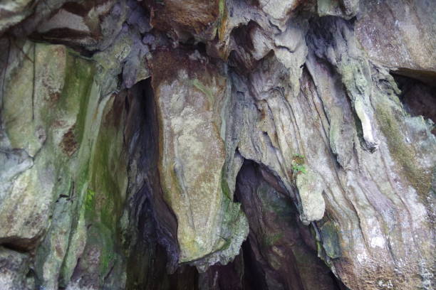 istock Puerto Princesa Subterranean River National Park 1281728635