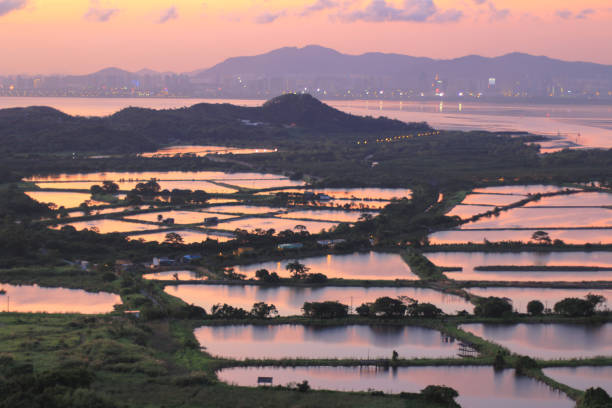 istock Ar Kai Shan, Yuen Long, Hong Kong 1281729459