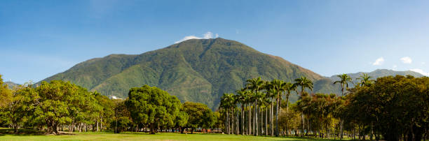 View of the  iconic  Caracas mountain el Avila or Waraira Repano from the East Park or Parque del Este. View of the  iconic  Caracas mountain el Avila or Waraira Repano from the East Park or Parque del Este. caracas stock pictures, royalty-free photos & images