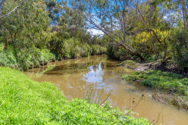 istock A calm tranquil scene of Merri Creek 1281739279