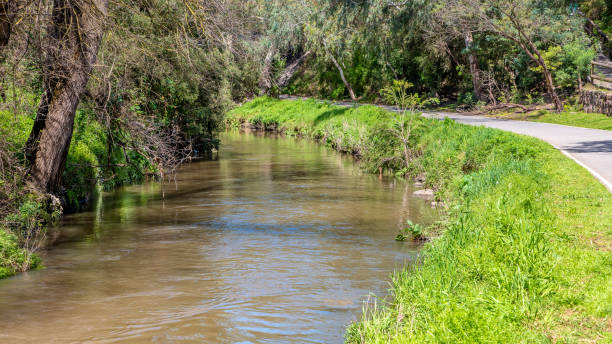 istock A calm tranquil scene of Merri Creek 1281739291