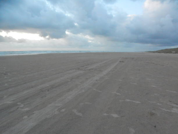 istock On the Danish North Sea coast 1281740170