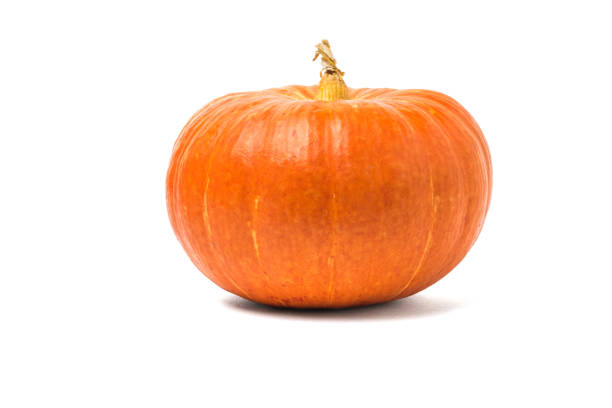 istock Ripe orange pumpkin of huge size isolated on a white background. 1281741114
