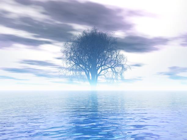 istock Fantastic landscape of Sea and Tree 1281742548
