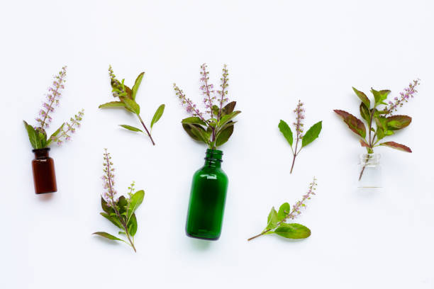 istock Essential oil bottles with fresh holy basil leaves and flower on white 1281751485