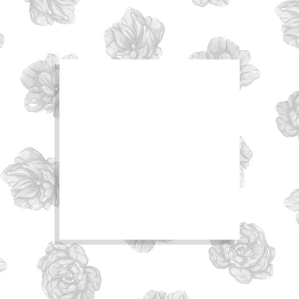 istock card with background of black and white flowers 1281755674