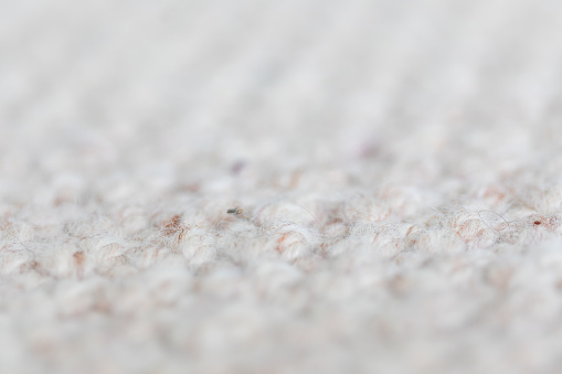 Wool Carpet Texture