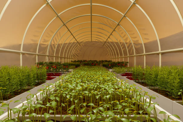 Greenhouse Agriculture On The Planet Mars