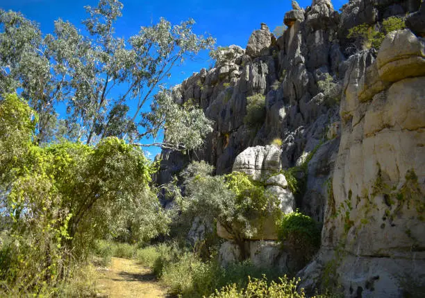 Geikie Gorges are located North of Fitzroy Crossing (Kimbely Region/Australia/WA). It is a National Park. This i a part of a walking trail to go to the Fitzroy River. The rocks and the trees are beautiful.