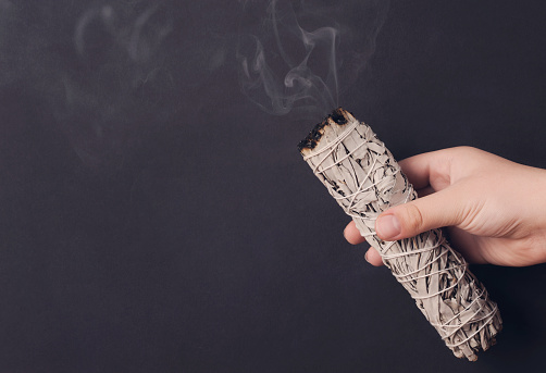 Hand holding a white sage smudge sticks on the gray background. Organic burning saga smudge. Cleanse the house with aroma smoke.