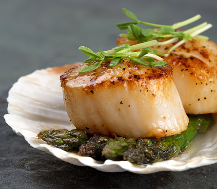 Studio closeup of seared scallops, garnished with pea shoots and served on a bed of asparagus, presented on a scallop shell.
