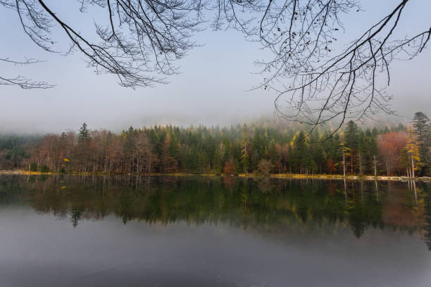 istock mountain lake with reflection from the colorful trees 1281766923