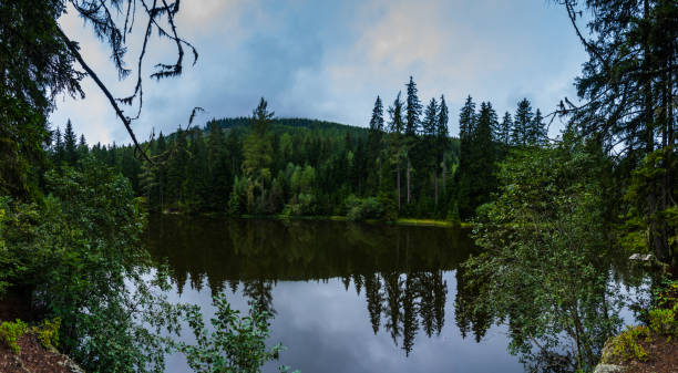 istock mountain lake with reflection from the pinetrees and forest panorama 1281766946