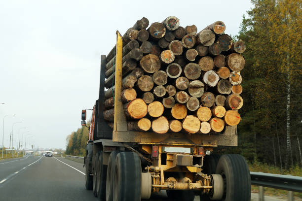 istock a truck on the highway carries logs 1281767942