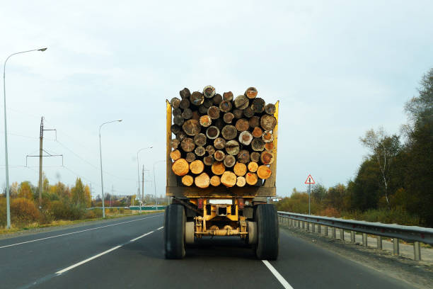 istock a truck on the highway carries logs 1281767949