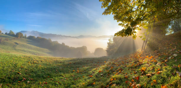Beautiful autumn landscape with valley fog. Mist rising fog.