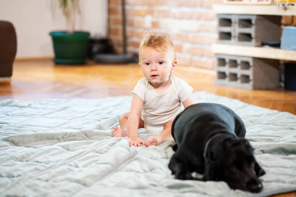 istock Baby boy at home with dog 1281769638
